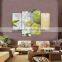 Feng Shui Wall Decor Inkjet Digital Print Canvas Services