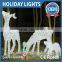 Led Fairy Lights Customized Flexible Decoration Led Christmas Light Animated