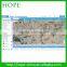 google maps gps car tracking system for Fleet Management