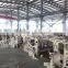 Weaving air jet power looms/Digital dobby air jet looms for sale in china