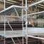 best price china scaffolding