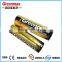 AA Alkaline Battery--LR6