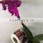 High quality cheap price paper/vinyl rolling glass bottle stickers printed self-adhesive labels