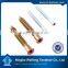 Hot selling in Poland Hex deep Hole confimate wood screw