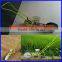 Single Row Manual Vegetable Seed Planter
