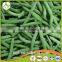 Vegetables New Season Frozen Whole and Cut Green Beans