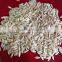 High disease to resistance Hybrid fruit cucumber seeds for growing-Aimee