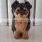 promotion simulation animal pet custom plush baby toys dog