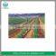 water curtain nozzle fire nozzle sprinkler spray irrigation