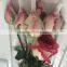 Natural beautiful fresh rose flowers fresh cut flowers