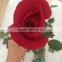 Real fresh red rose flower fresh cut flower