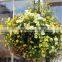 Hanging Flower Pot Garden Hanging Pot SL-Y060 Hanging Ball Planter