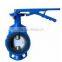 Blue Epoxy Coated Cast Iron Wafer Type Butterfly Valve