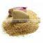 Zingiber officinale Extract