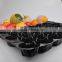 Popular Wholesale Texas USA Promotion High Grade Black Blue Color 5LB Tomato Insert Tray