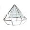 terrarium geometric glass terrarium wholesale diamond model