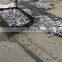 FERRALIUM 255 Duplex Stainless Steel Threaded rods,Bolts and Nuts and Washers manufacturer