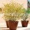 Ellipse Planter Corten Flower Pot Corten Steel Planter