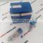 Common Rail Injector Nozzle DSLA144PV605