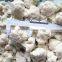 Frozen White Chinese Cauliflower in Bulk