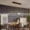 Nordic creative simple personality long lines pendant light for decorate