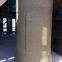 Concrete pipe manufacturing machine for Drainage pipes