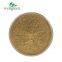 Natural Oregano Extract Carvacrol 99% Oregano Powder CAS 499-75-2