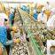 Factory Shanghai Genyond Design tuna fishing canning machine canned fish tuna production line with cheap price