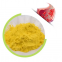 Vitamin Factory Supply Menatetrenone Cas 11032-49-8 Bulk Vitamin k2 Mk-7 Powder