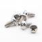 GB 6560 304 stainless steel cross recessed pan head triangular thread self tapping screws