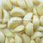 Large Bucket Garlic Peeler,garlic press and peeler set,garlic peeler machine price