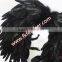 Black Wholesale Chicken Wings With Rooster Tail Feather Decoration