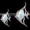 Resin shell fish wall sticker home decor