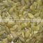 new crop chinese shin skin pumpkin seed kernel