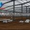 Construction design steel structure frame pre-engineered warehouse