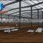 Construction Design Steel Structure Frame Pre-engineered Warehouse