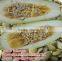 shine skin pumpkin seed kernels AA /A /OIL GRADE