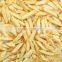 Dongxuya Fully Automatic Potato Chips Making Machine