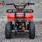 Nice Design Kids Mini Motor 800W Mini Quad, Electric ATV for kids / QWMATV-01A                        
                                                Quality Choice