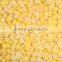 Wholesale Frozen Sweet Corn