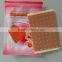 factory direct supply OEM Hot 10patchs Medical muscle pain Back Pain Capsicum Plasters