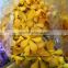 flowers natural cutting wedding flower for bouquets branches orchids ascocenda
