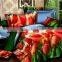 3D vivid tulip printed bedding sets with all bed sizes bedroom furniture sets/comforter sets
