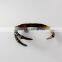 Wholesale fashion vintage punk eagle talon claw cuff bangle