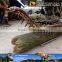 MY Dino-C030 replica of insects centipede statue