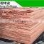 High quality Natural face veneer type red walnut face veneer for plywood