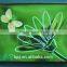neon colorful el wire luminescent decoration advertisement