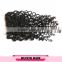 Deep Curly Wholesale Cheap Brazilian Virgin Hair Curly Lace Front Closures