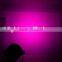 5in1 Led Par Ip65