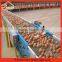 Design modern chicken egg layer cages poultry cage